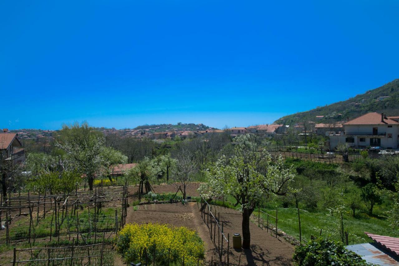 Al Cortile Di Nonno Luigi Villa Agerola Exterior foto